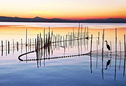 Fototapeta Letné ráno na jazere 1338